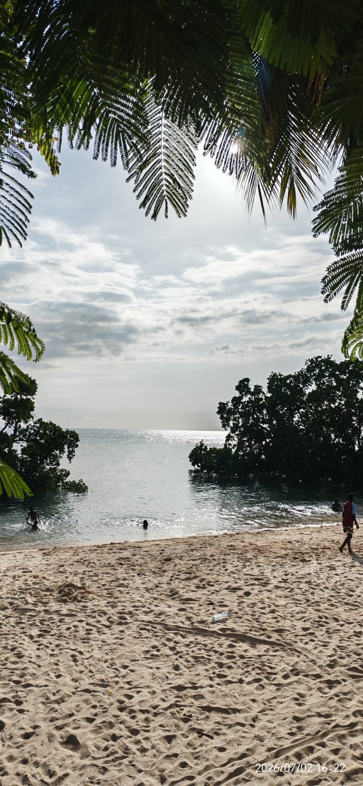 Palm-Shaded Swimming Cove