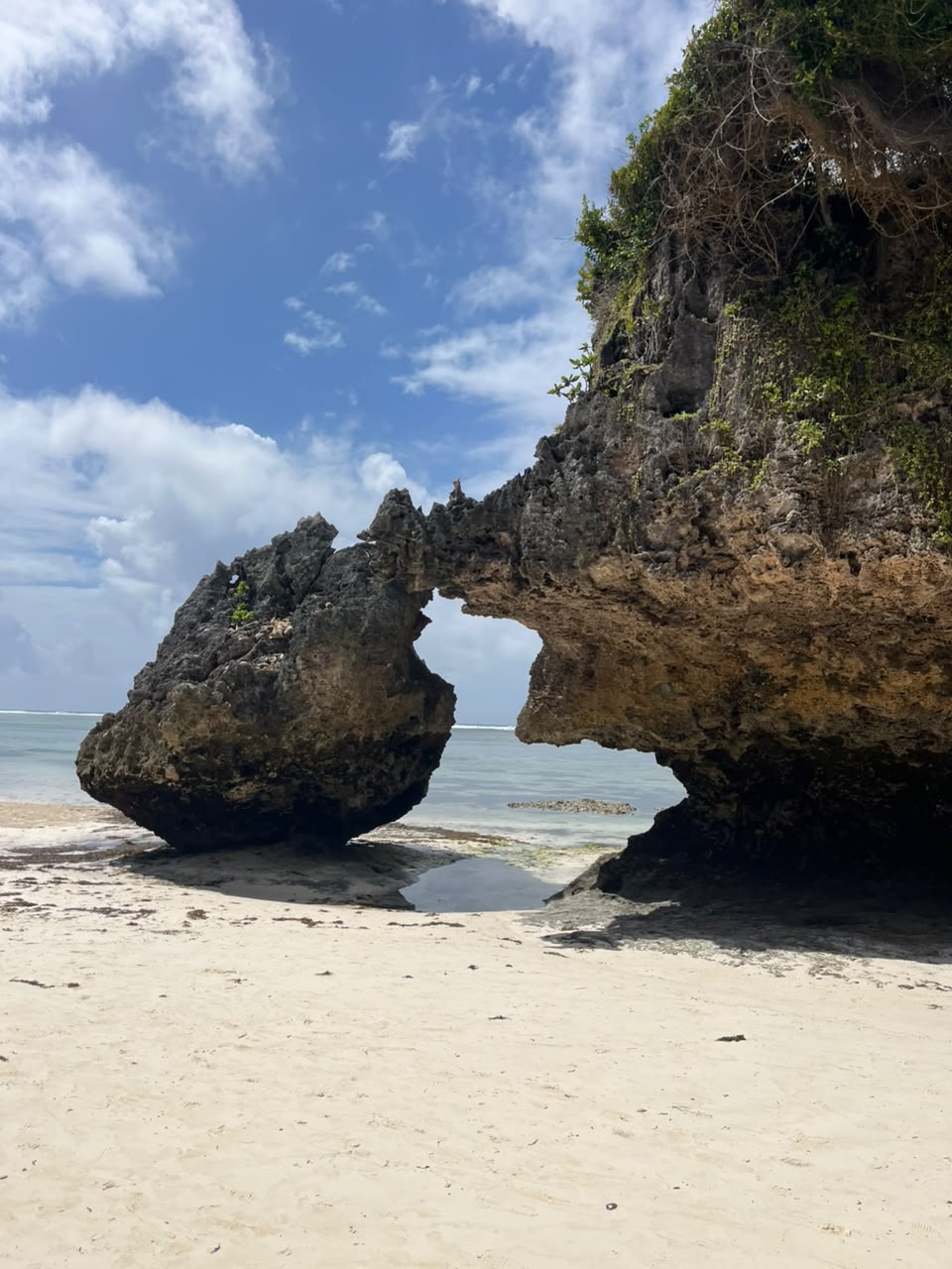 Hidden Coral Arch